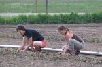 Two of our Valued Volunteers Help Plant Onions