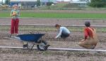 Volunteers Help Plant Onions