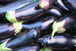 Eggplants Ready for Pickup