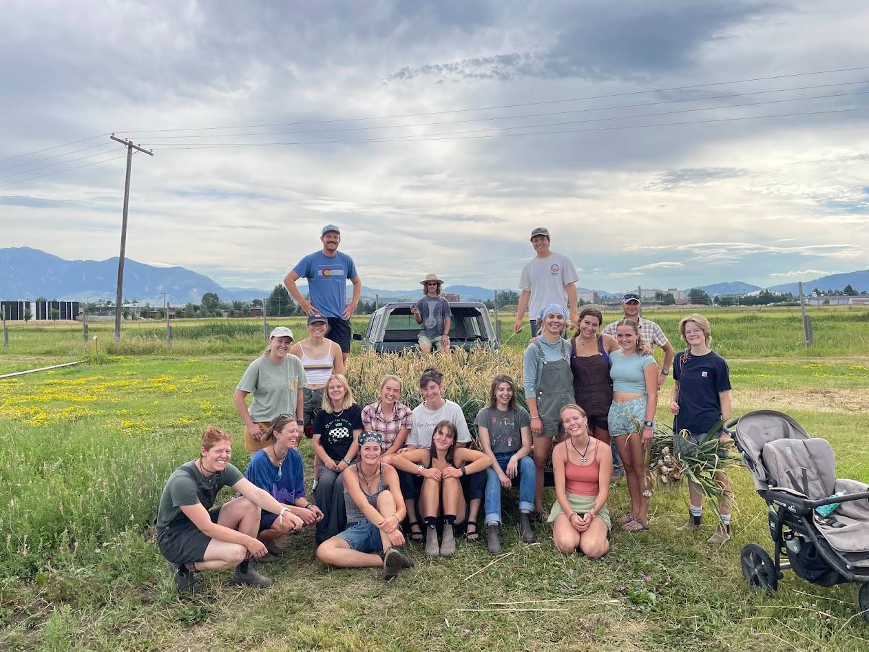 Students at garlic harvest